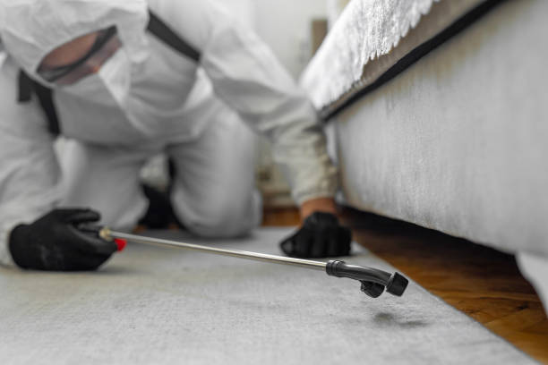 Professional Ant Control technician working in Fitchburg, MA
