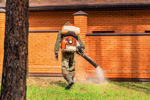 Trusted Termite Control service in Fitchburg, MA - Nex Pest Control